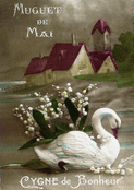 Cygne élégant et muguet en fleurs